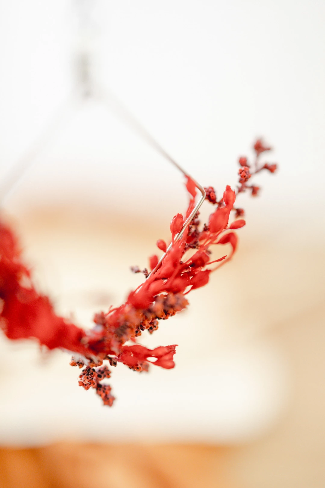 rouge rose pétale beige marron